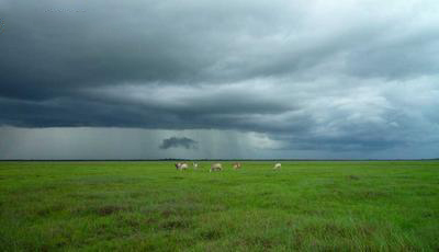 电影4